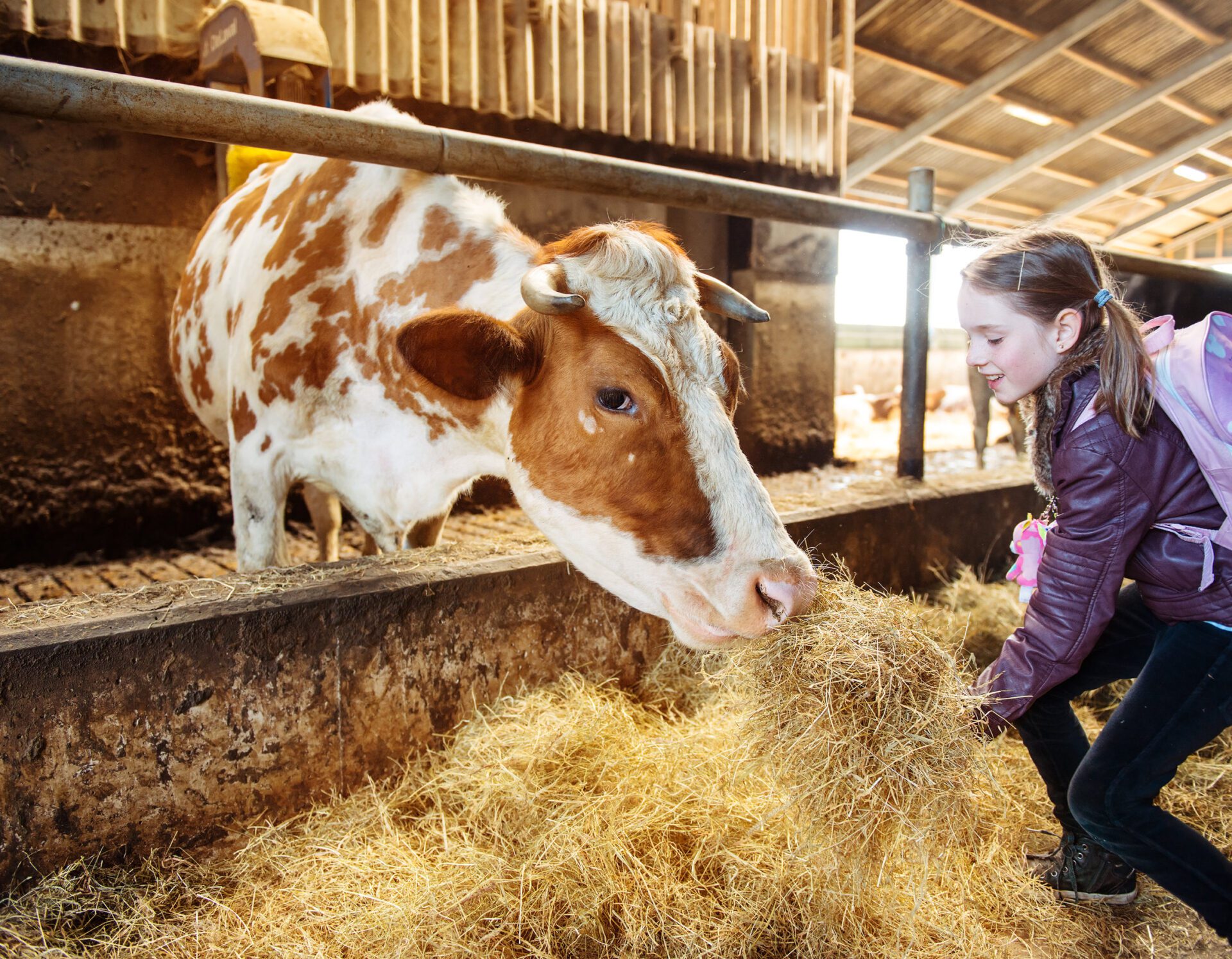 Livestock Feed